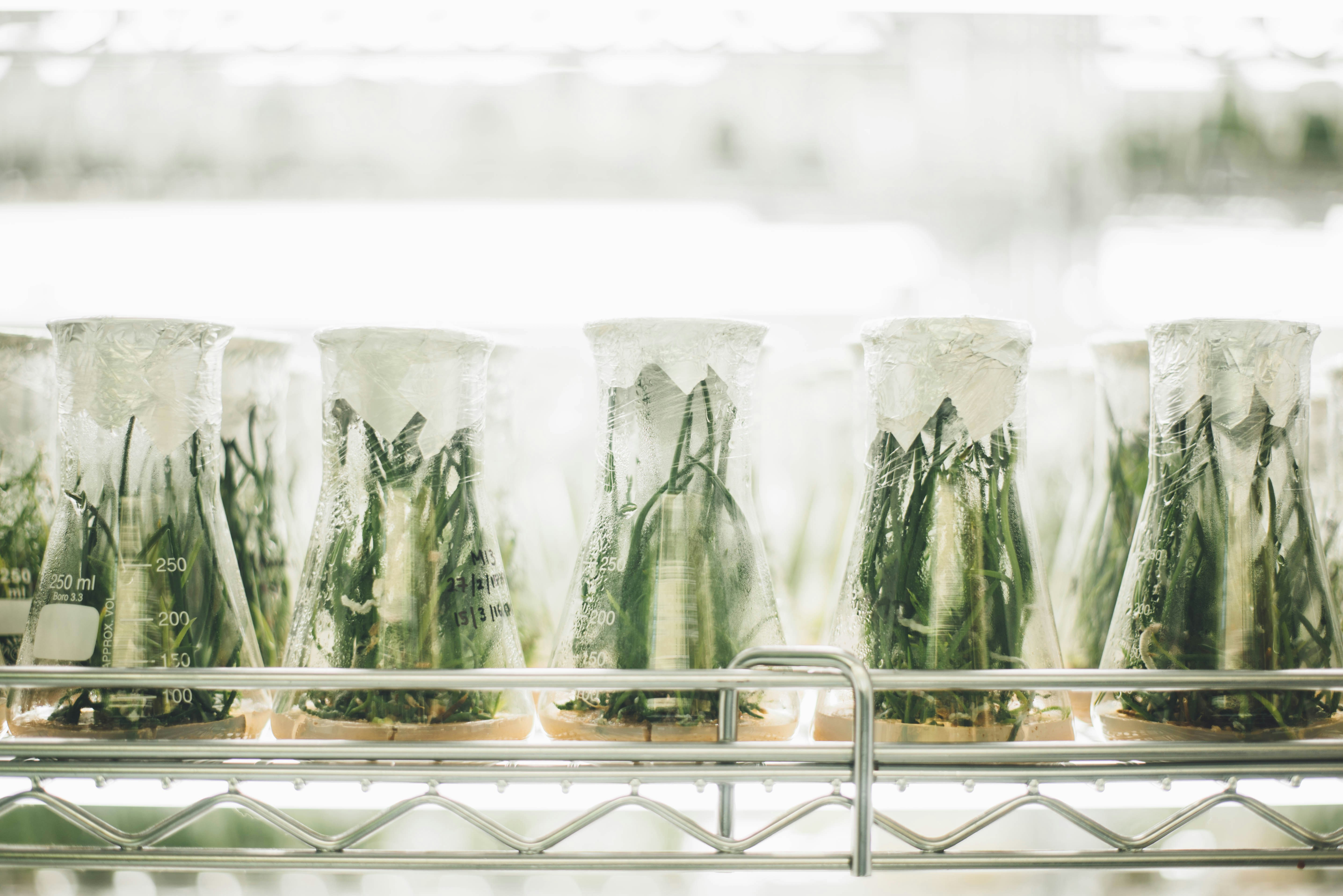 WorldHE NS Watch: 165 Universities Published in Nature and Science in July