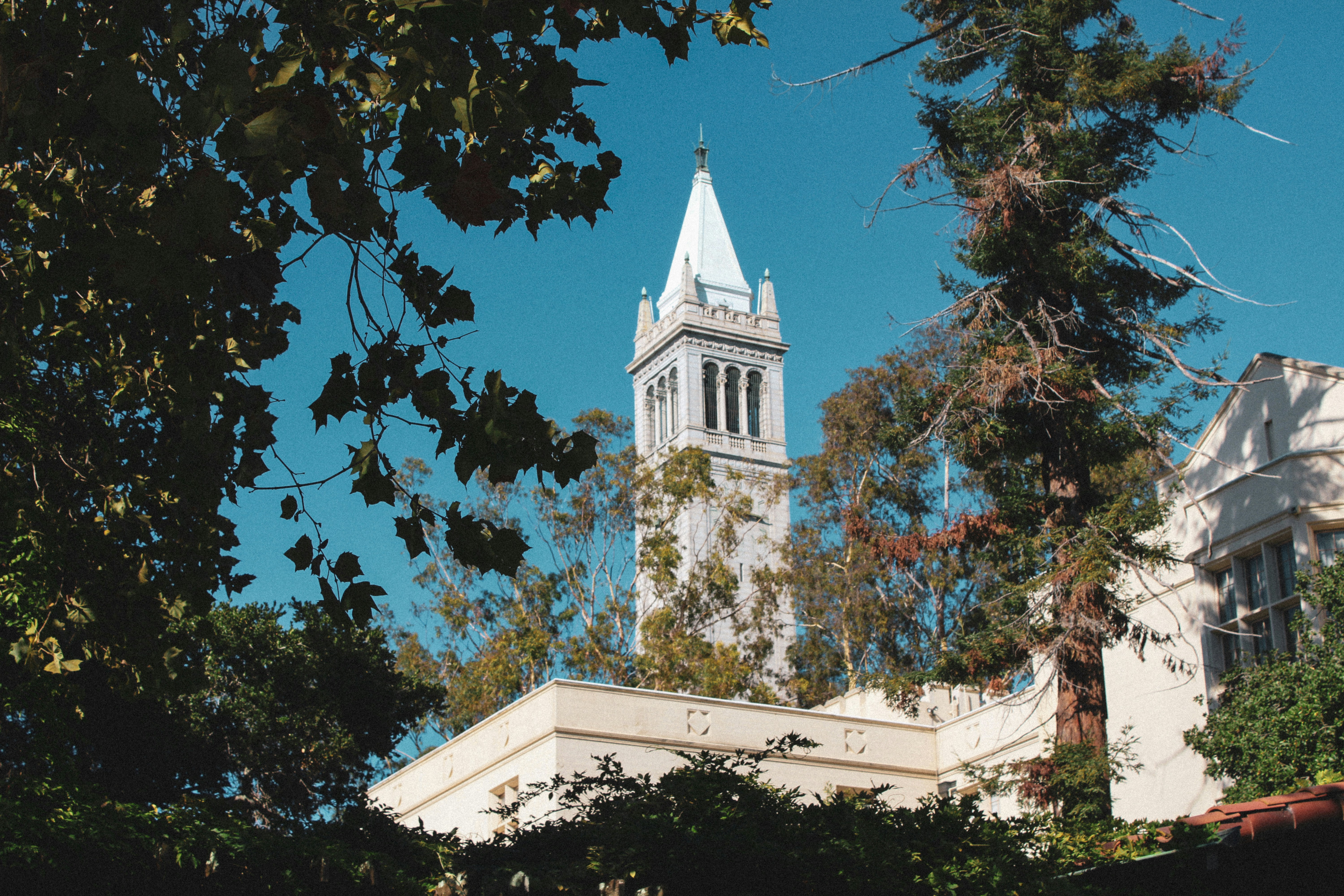 UC Berkeley Ranks No. 1 for Startup Founders for Fourth Consecutive Year