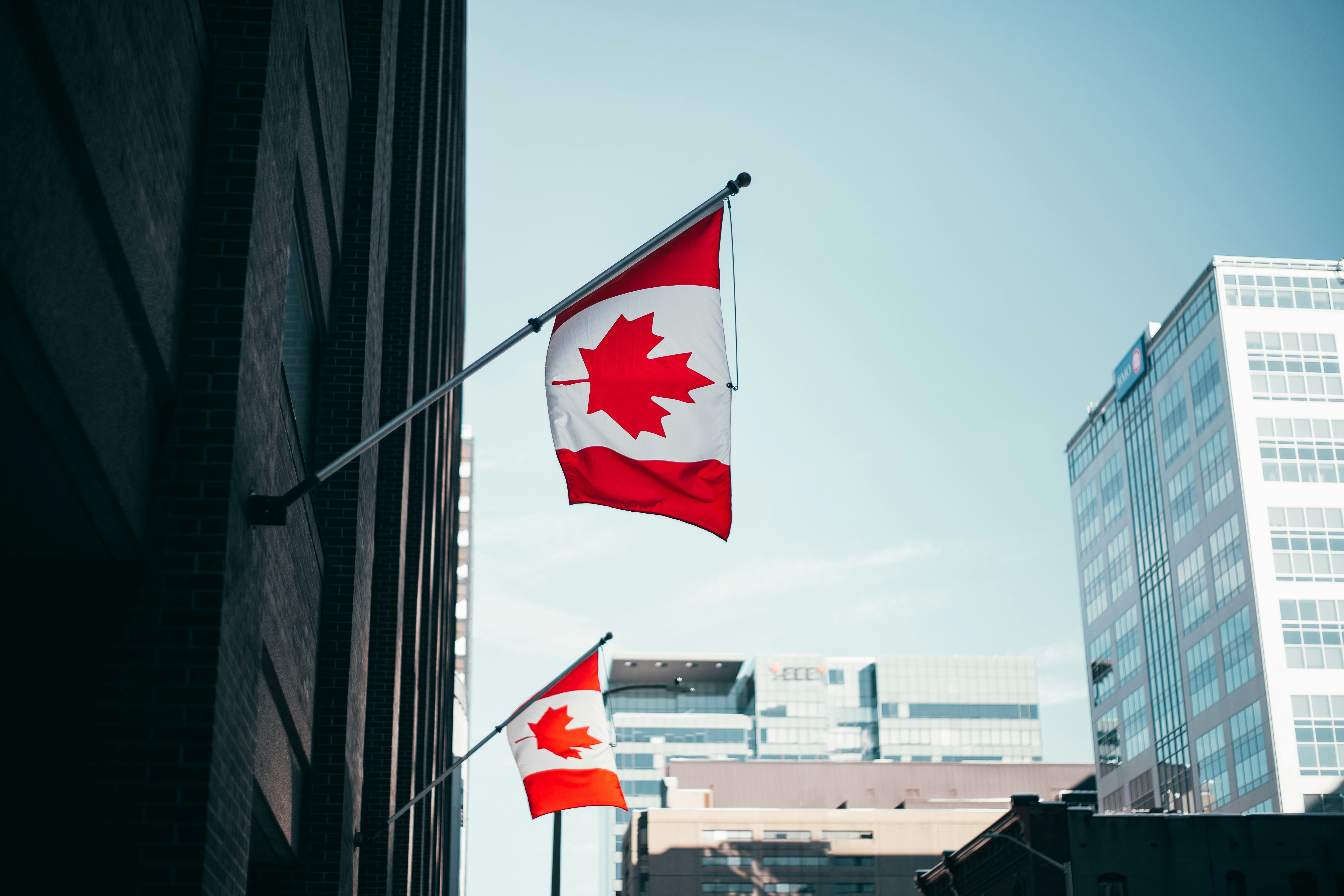 Canadian Academy of Health Sciences Elects 59 New Fellows for 2026