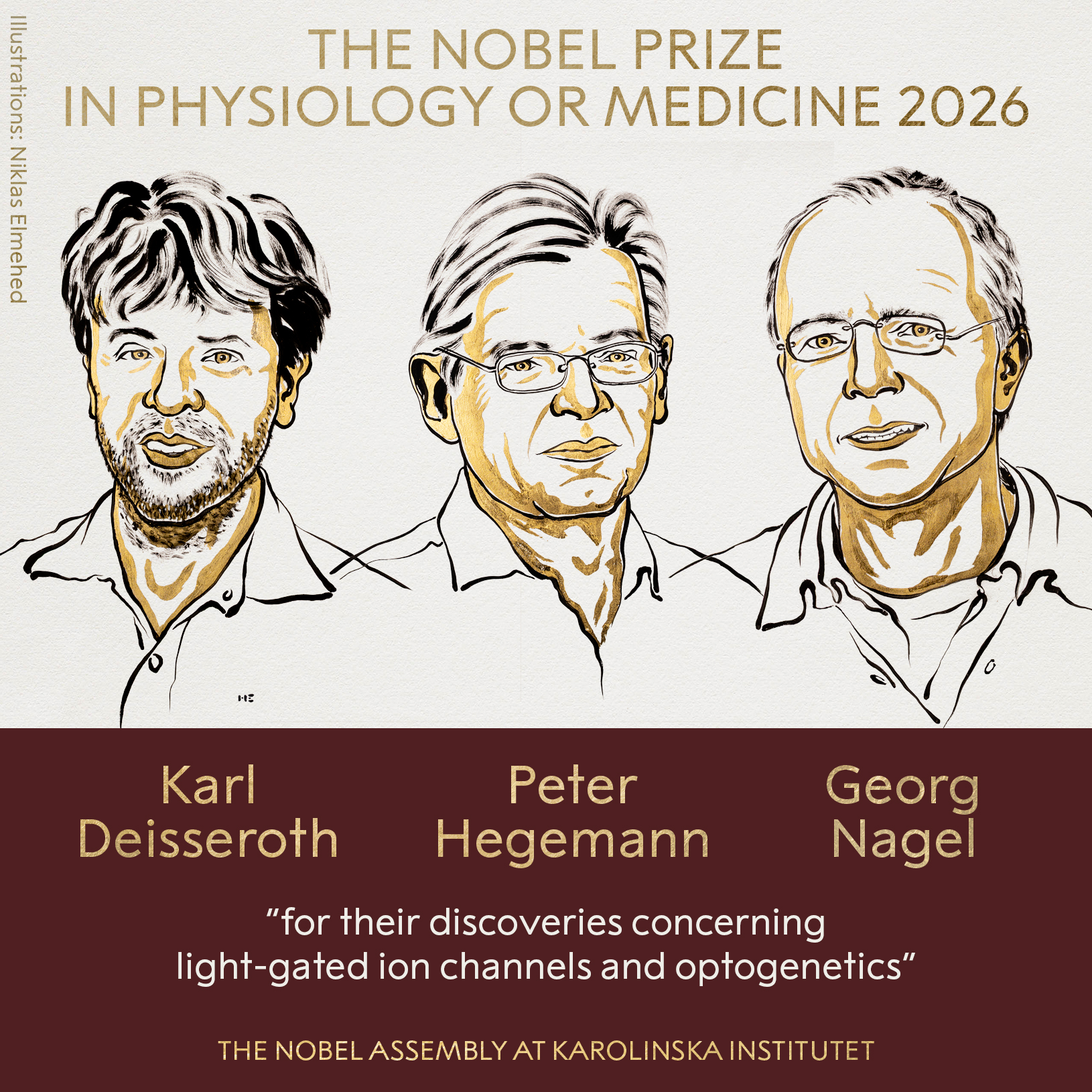 2026 Nobel Prize in Medicine Awarded to Three Optogenetics Pioneers